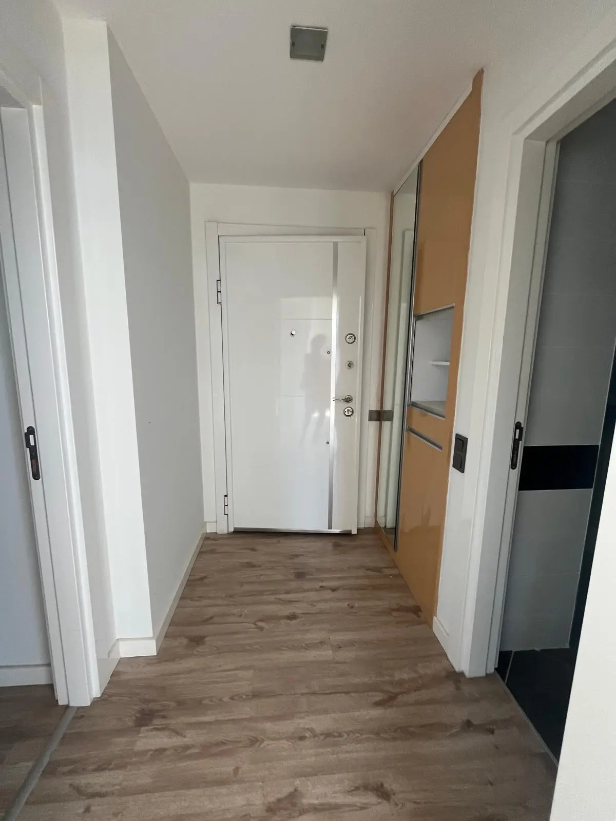 Flat entrance